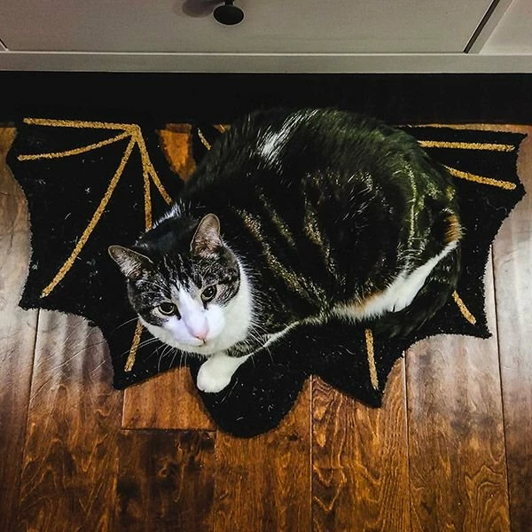 Danica Brands Danica Jubilee Doormat | Fangtastic - Image 3