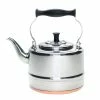 BonJour 2 Qt. Gooseneck Tea Kettle | Stainless Steel With Copper Base