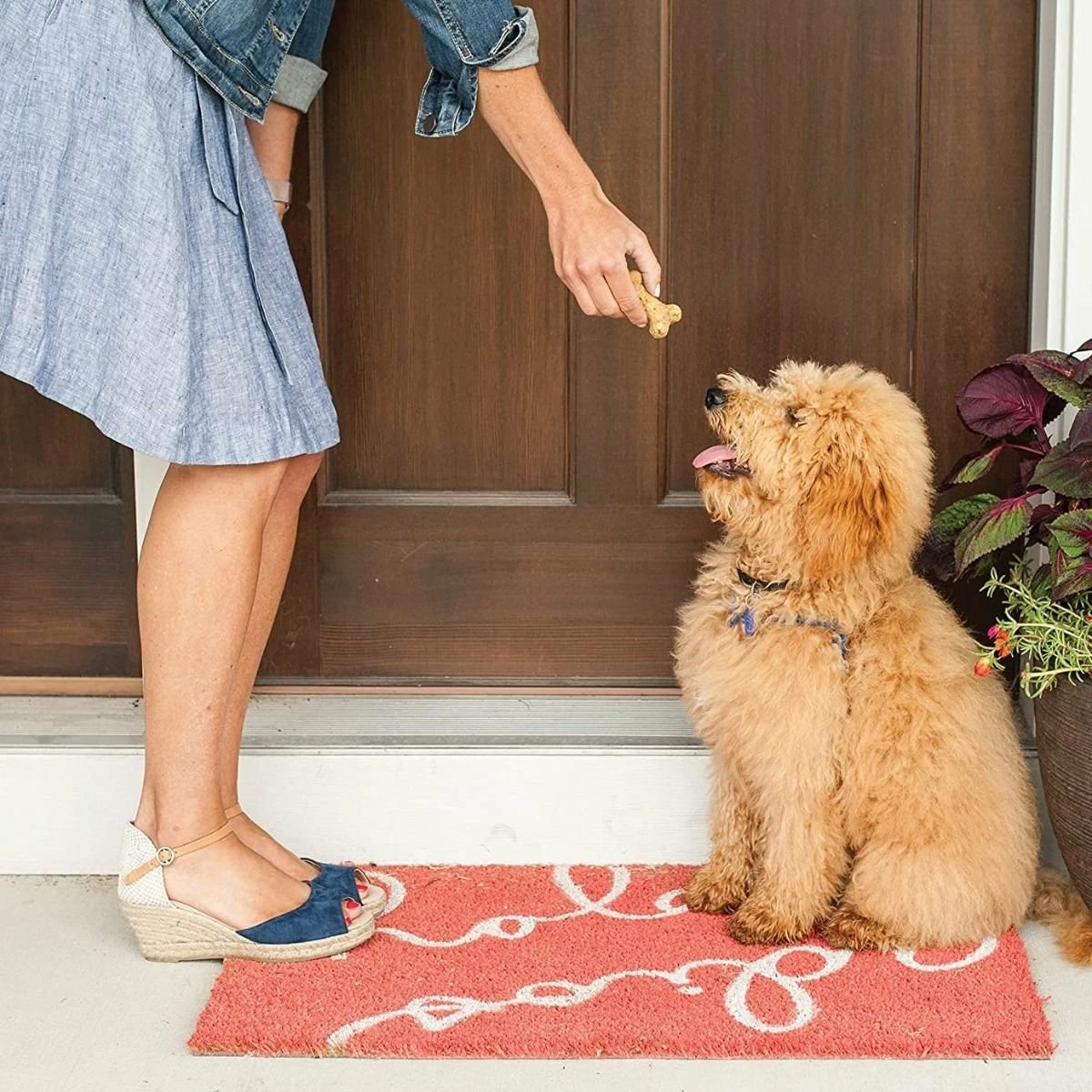 Nordic Ware Homemade Dog Treat Mix - Image 5