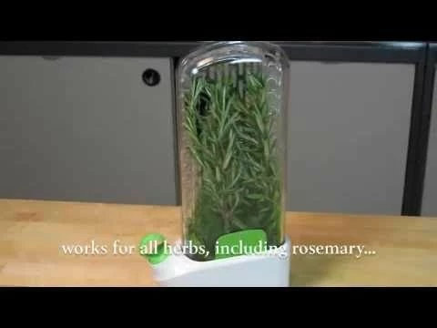 Prepara Herb Savor Deluxe | White/Green - Image 4