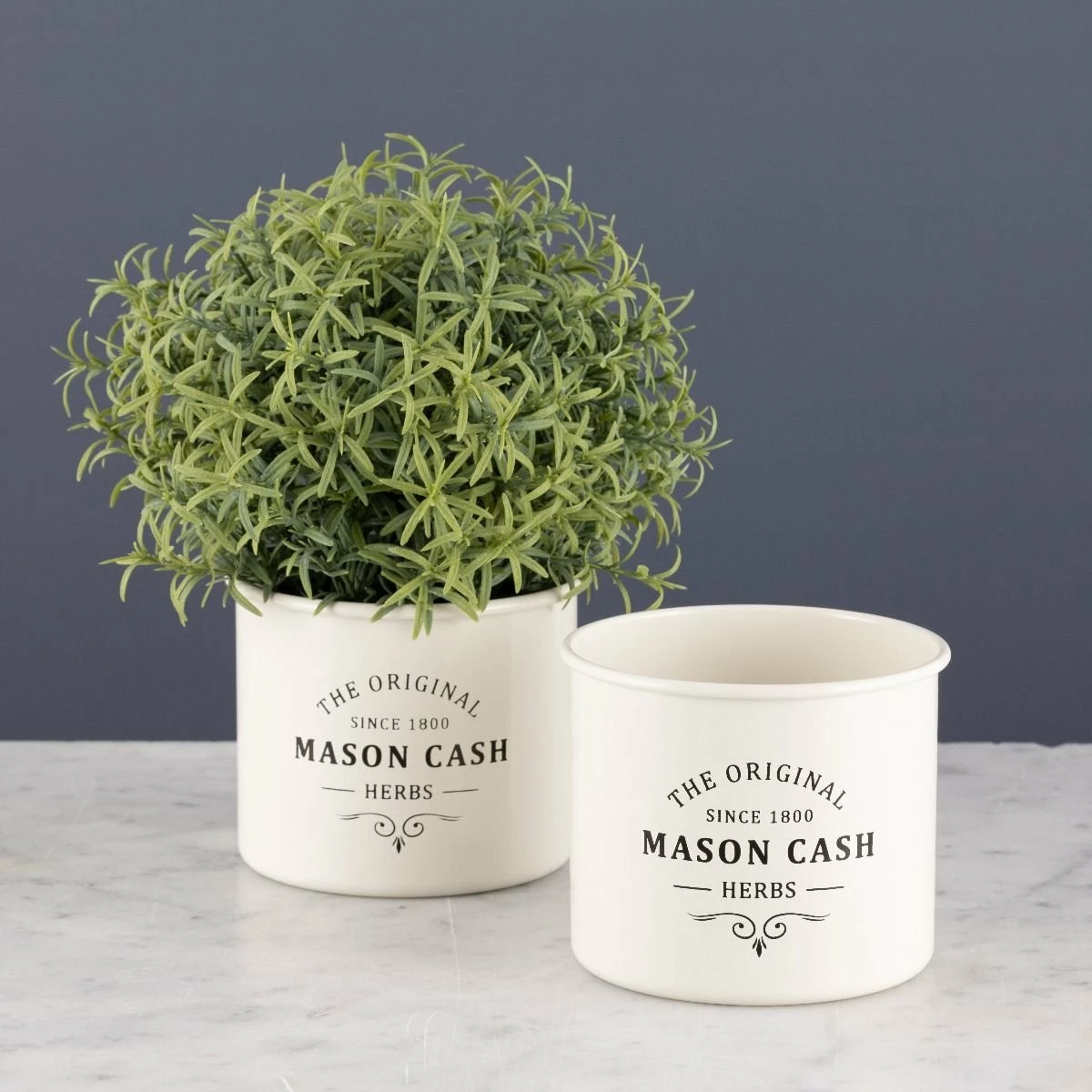 Mason Cash Heritage Herb Planter - Image 2