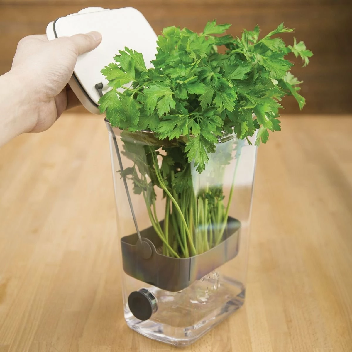 Progressive Herb ProKeeper - Image 3